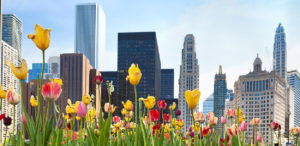 Spring in Chicago, Illinois